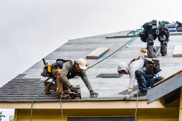 Professional Emergency Roof Repair technician working in Trail, OR